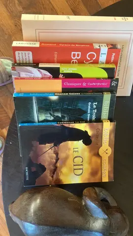 lot de livres