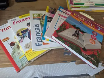 Grand choix de livres de français collège