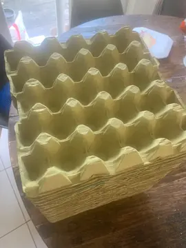 plateaux à œufs