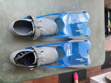 Palmes Tribord R'Gomoove