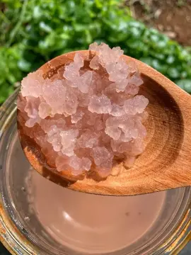 grains de kéfir