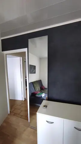 Grand miroir Hauteur: 230 cm Largeur: 50cm