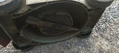 tondeuse électrique
