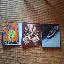 3 beaux classeurs