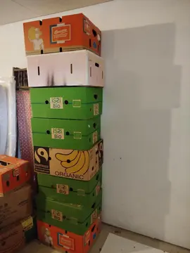 carton banane