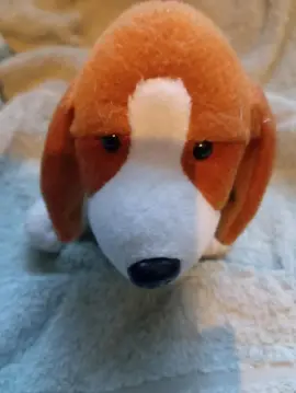 peluche chien