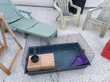 Cage lapin