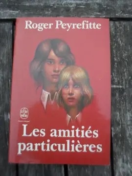 Les amitiés particulières