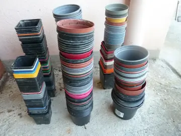 Petits pots de fleurs