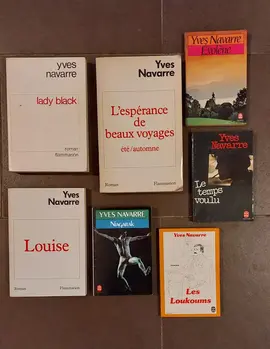 7 romans de Yves Navarre