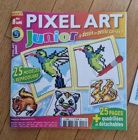 livre jeux enfant pixel art