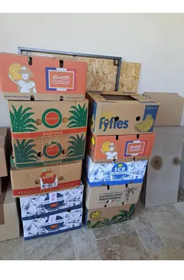 Cartons solides