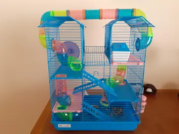 cage et boîtes pour souris ou hamster