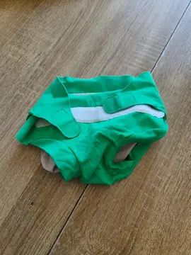 couche lavable