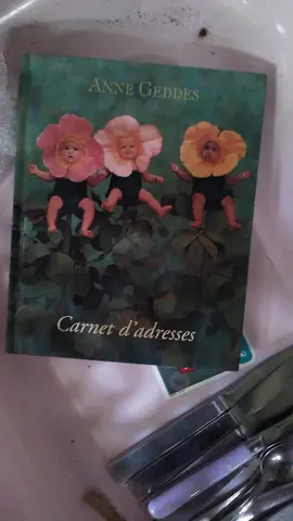 carnet d'adresses Anne Geddes