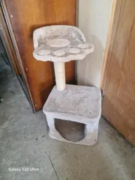 arbre à chat 🐱