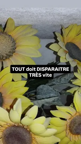 tout est à donner