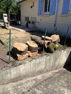 bois de cerisier tout frais à récupérer ce soir