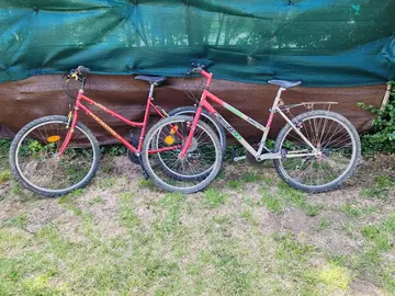 vélos adultes