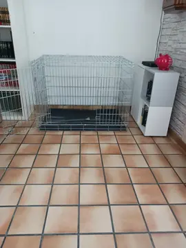 cage pour chien