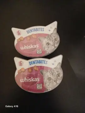 friandises chats