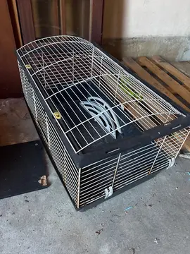 cage pour rongeurs