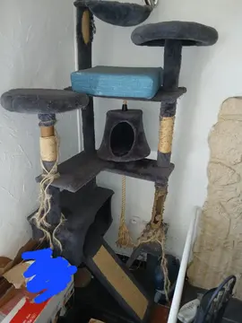 arbre à chat