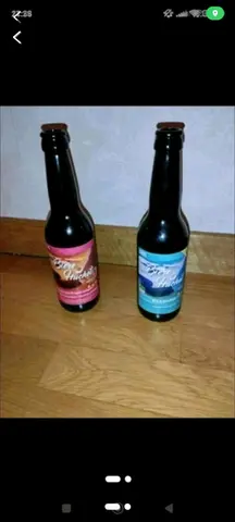 2 bouteilles VIDES de bière 🍻