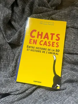 Chats en cases de Philippe Delisle