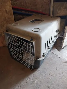 grande caisse de transport chien