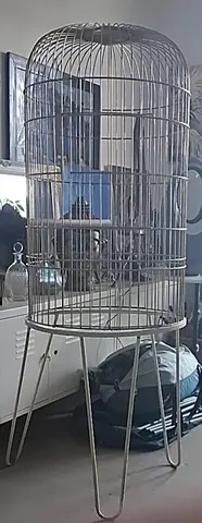 cage perroquet