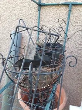 suspensions plantes
