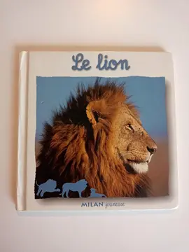 Livre enfant - Lion 🦁