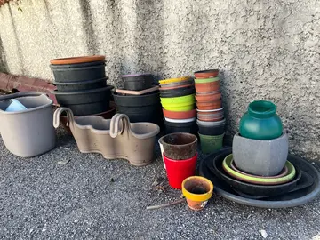 divers post de fleurs et soucoupes au choix