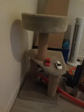 petit arbre à chat 🐱