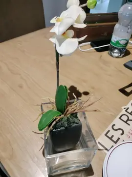 fleur en plastique