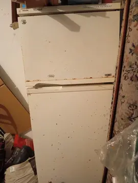 grand Frigo de garage