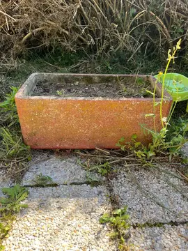 jardinière