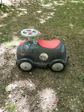 Draisienne voiture
