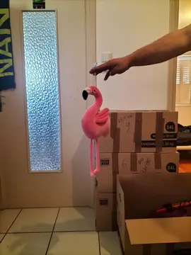 petite peluche flamant rose ventouse
