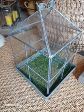 présentation pour plantes