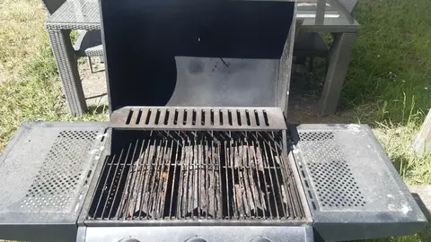 barbecue à gaz