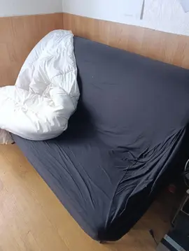 BZ