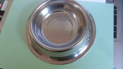 gamelle pour animaux