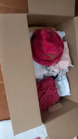 Lot de vêtements bébé fille 6 mois