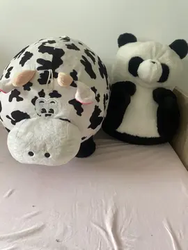 grosse peluches