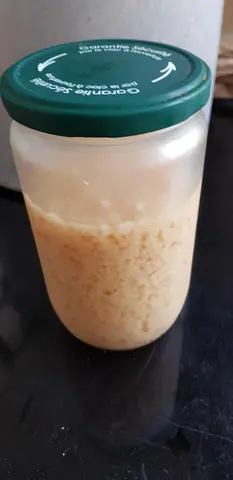 Grains de kefir de fruit