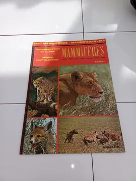 Livre mamifères