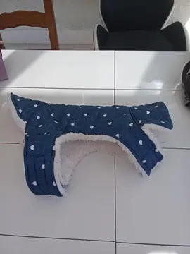 Manteau chien