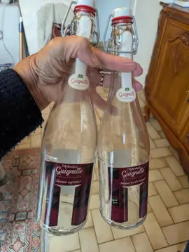 2 BOUTEILLES VIDES AVEC FERMETURE HERMETIQUE
